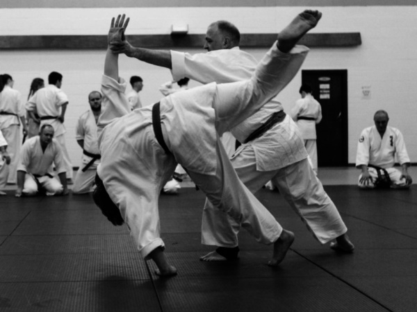 Essex Aikido technique