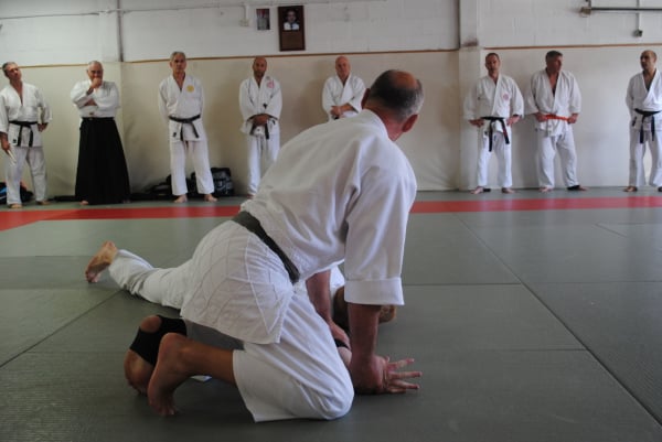 Aikido technique