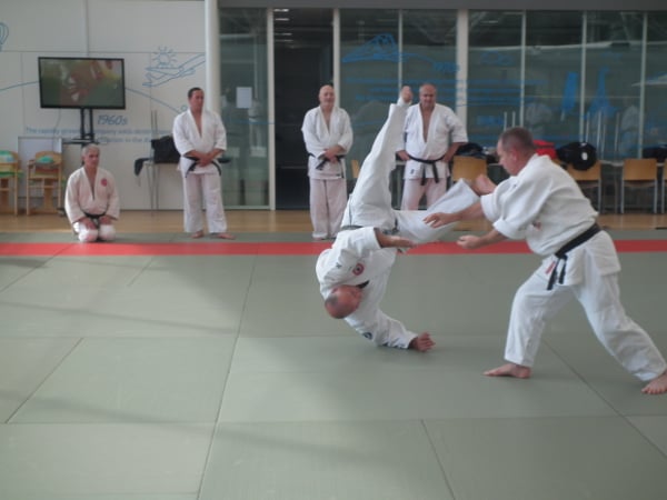 Aikido wrist technique